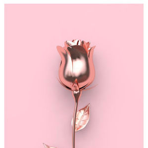 Meet your Posher, Wanda